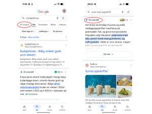 To skjermklipp med Googles AI om mat.