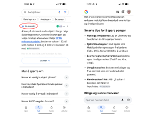 To skjermklipp med Googles AI om mat.
